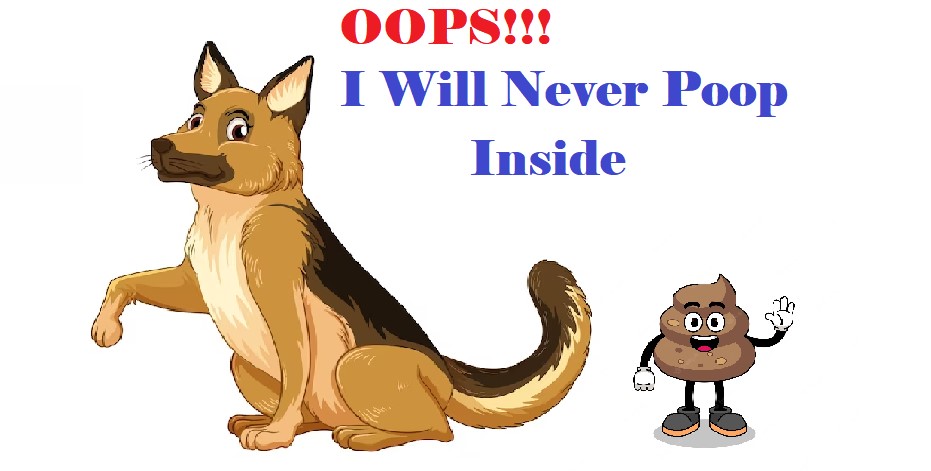 How to stop dog from pooping inside
