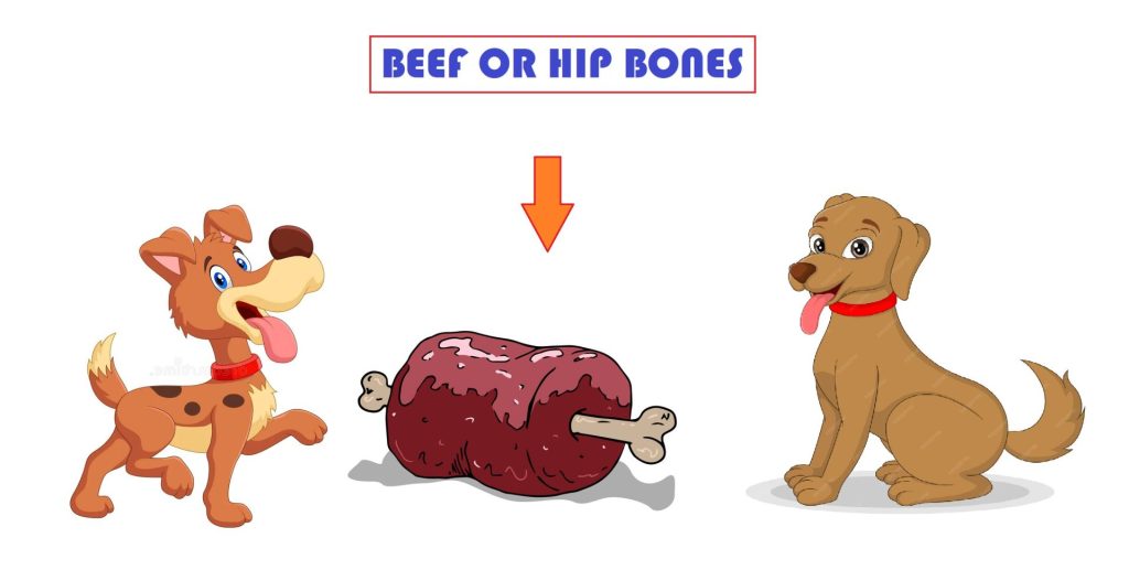 can dogs eat beef bones