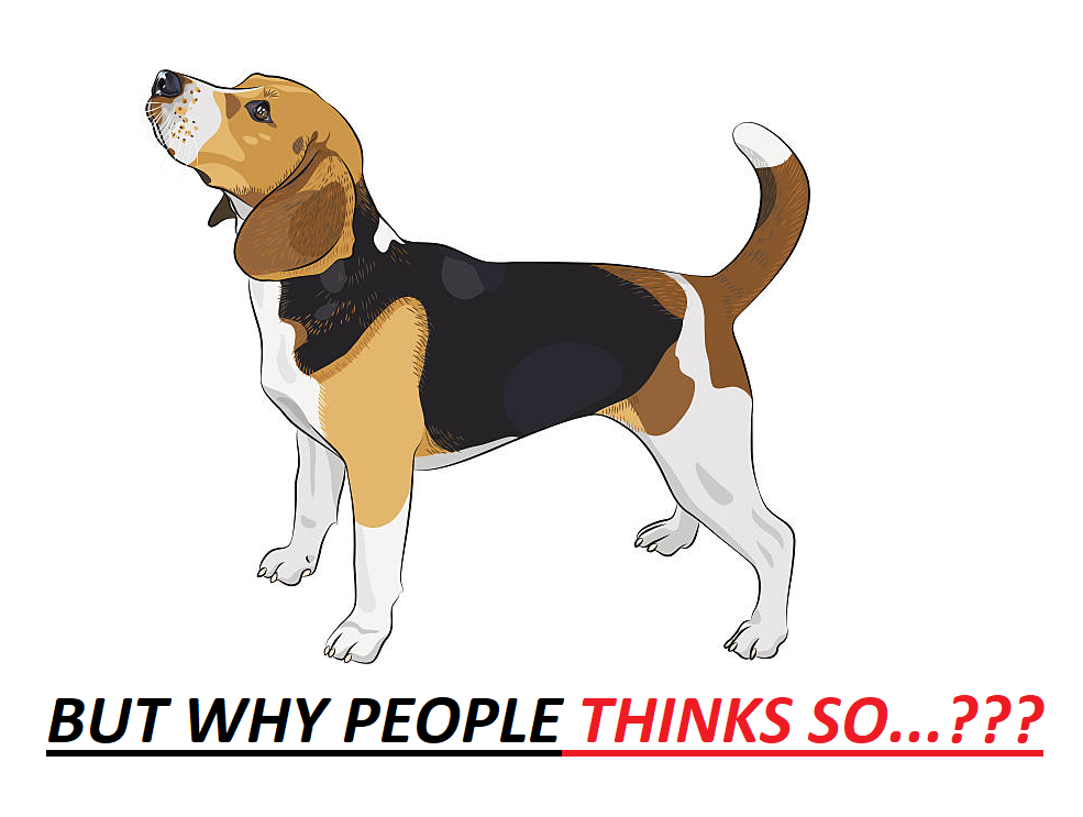 Good Attributes of Beagles
