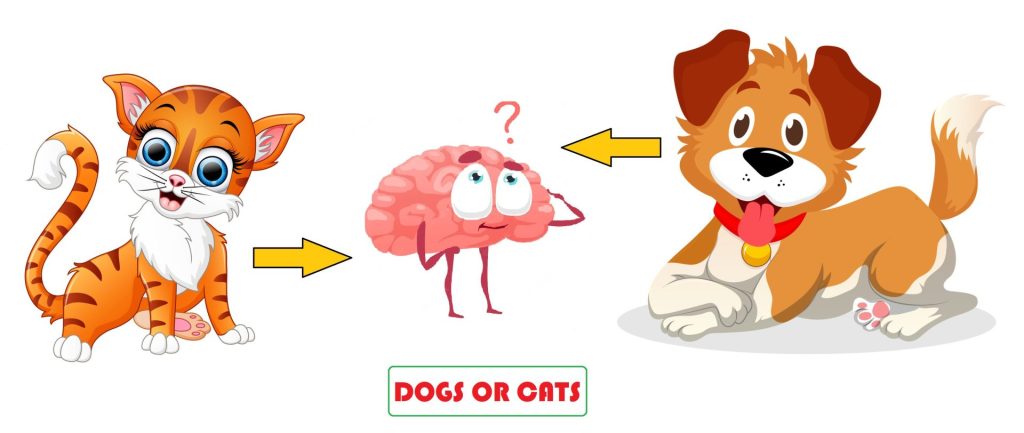 Are dogs brains bigger than cats? 