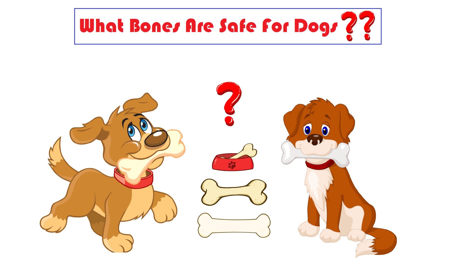 What Bones Are Safe For Dogs?