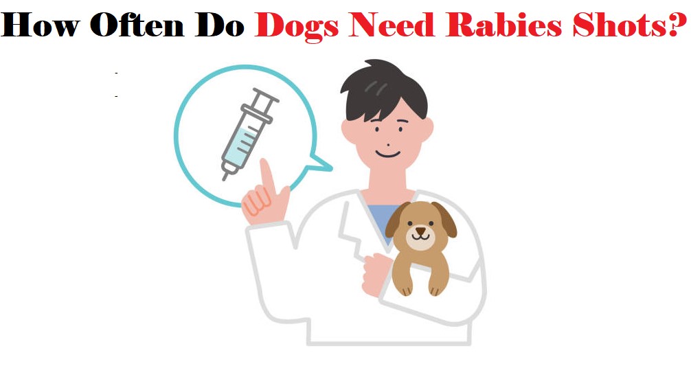 Rabies Vaccination for Pets Requirement