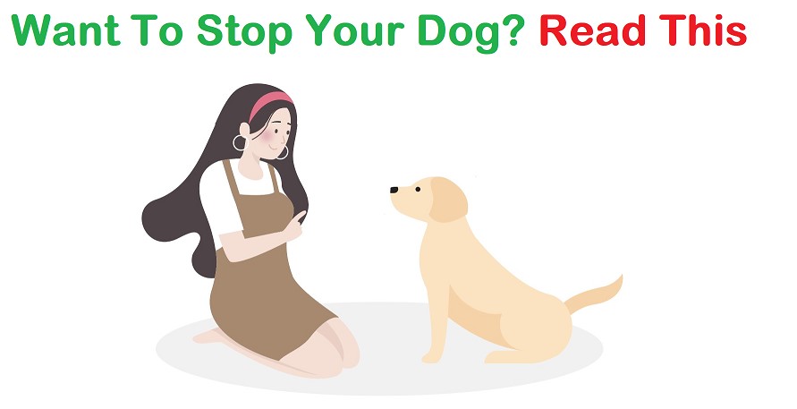 How to Stop My Dog Sitting on Me