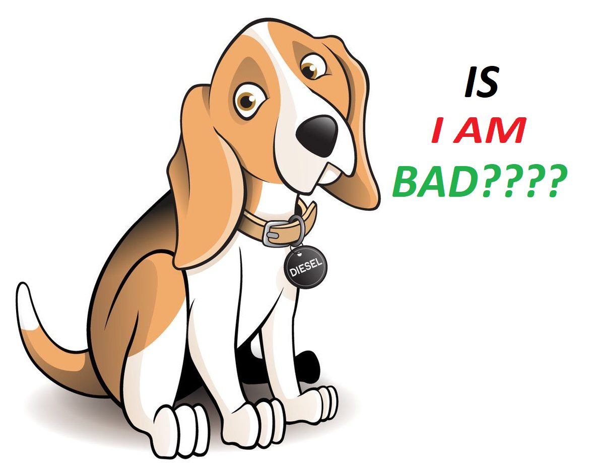 Why Beagles Are The Worst Dogs?