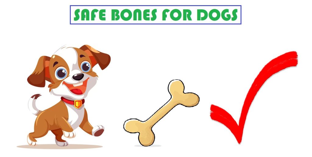 bones for dogs to chew