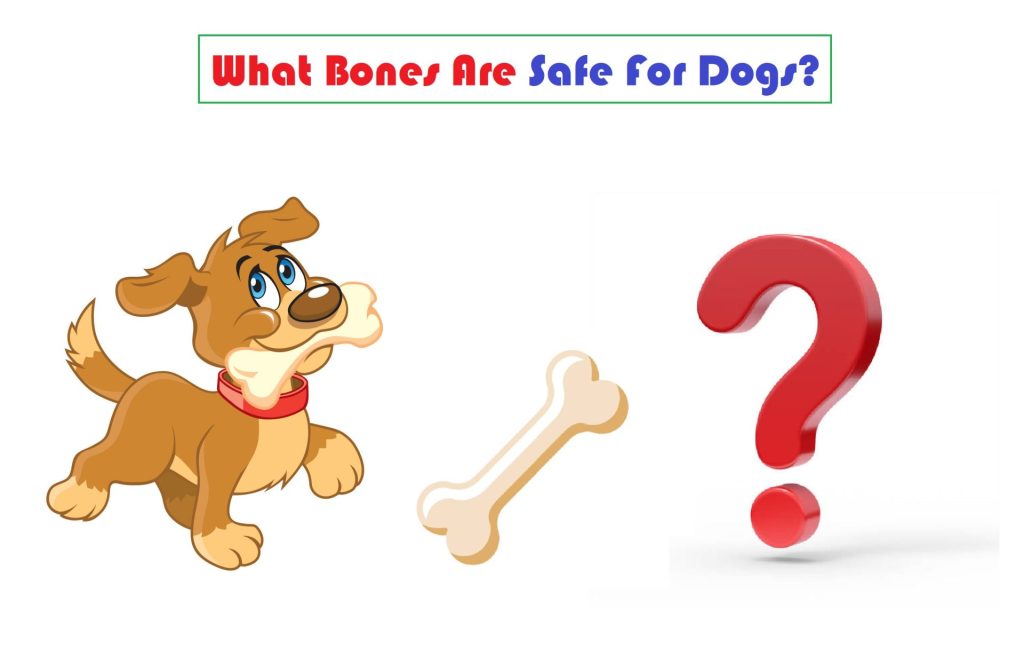 What bones are not safe for dogs? 