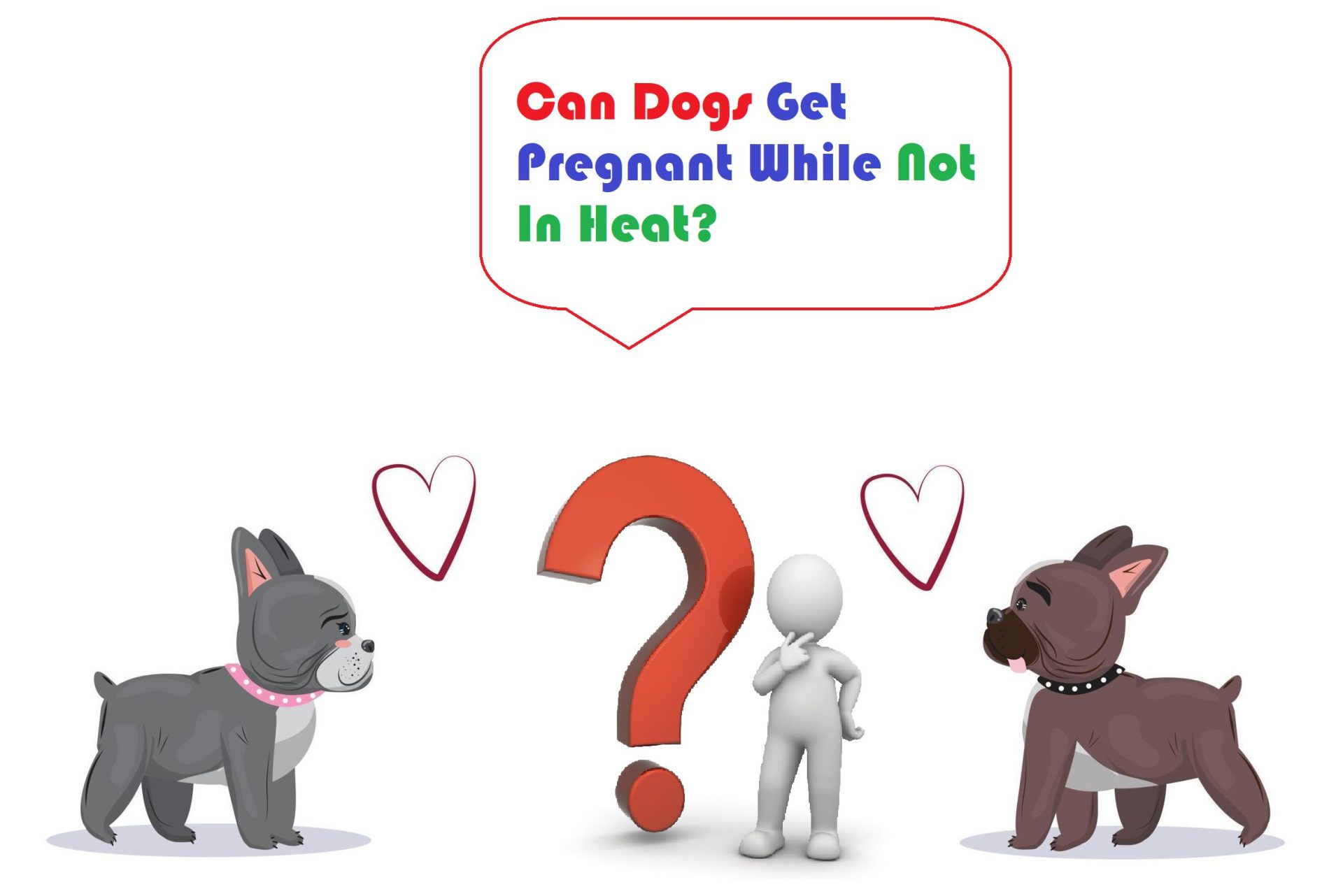 Can Dogs Get Pregnant When Not In Heat?
