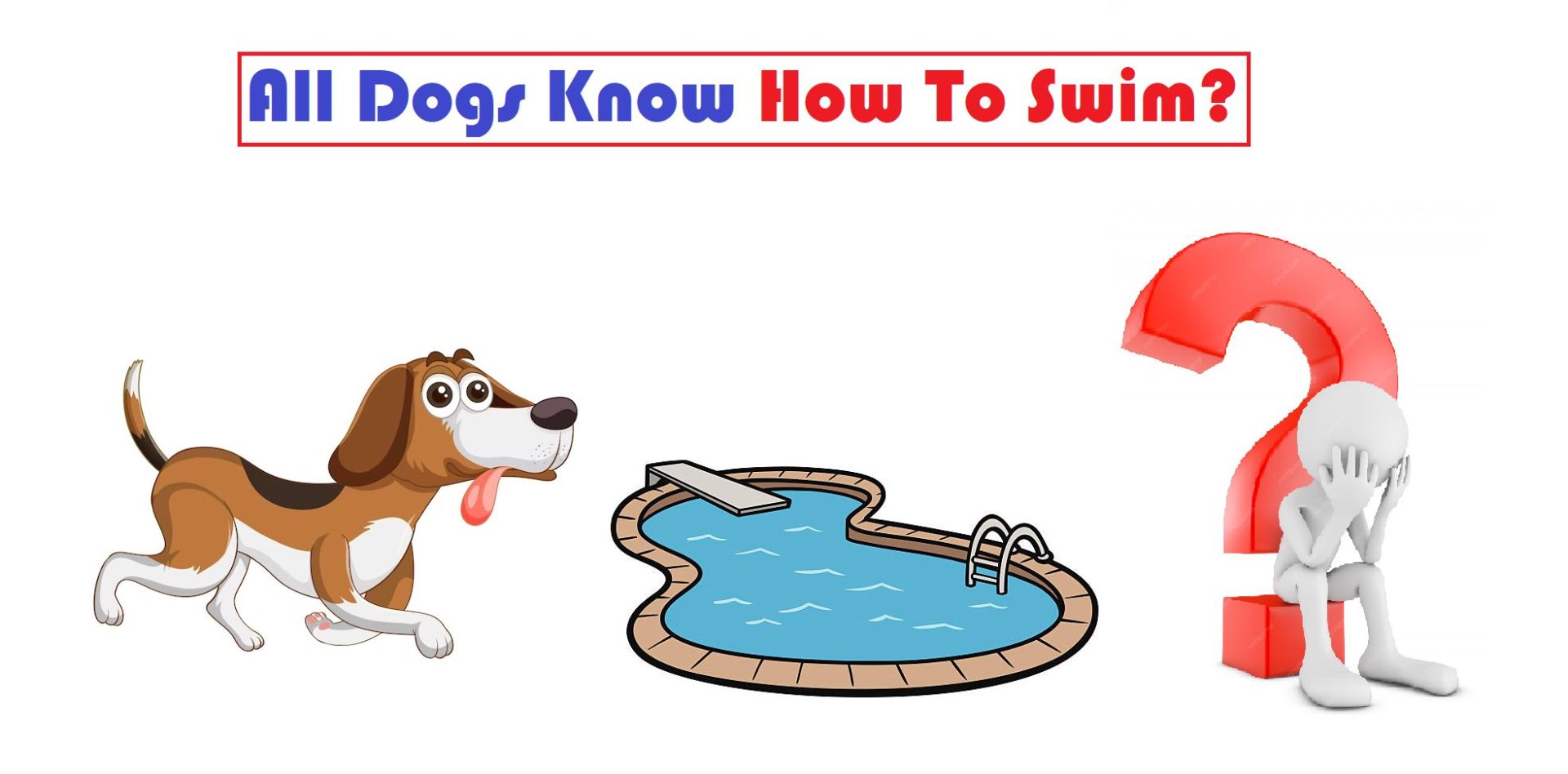 Do All Dogs Know How To Swim?