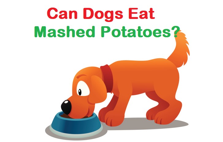 can dogs eat instant mashed potatoes