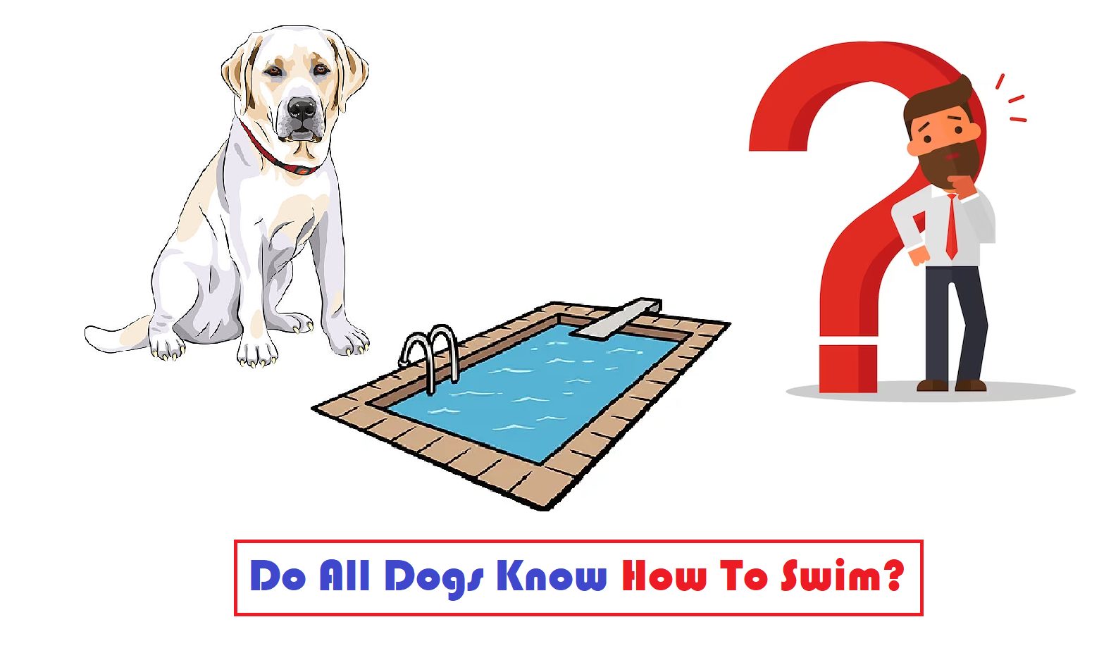 Is swimming stressful on dogs? 