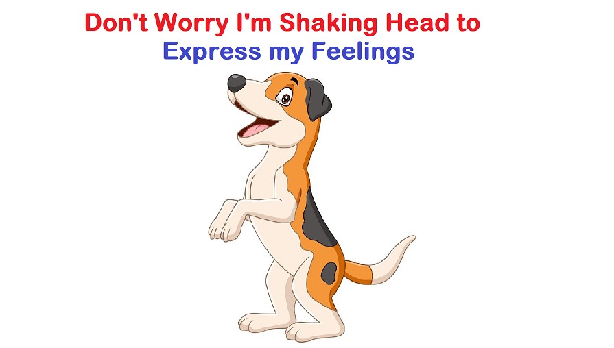 treatment for dog shaking head