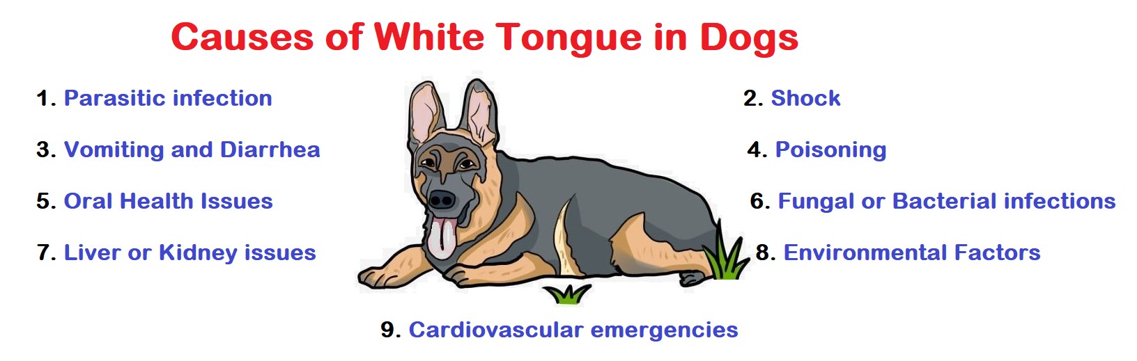 8 Reasons Why Is My Dog Tongue White