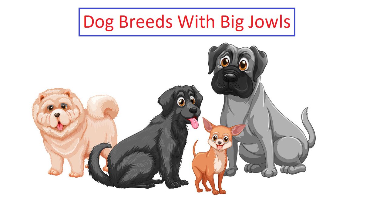 Dogs With Big Jowls: Breeds With Saggy Cheeks