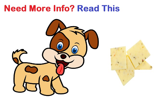 Can Dogs Eat Pepper Jack Cheese