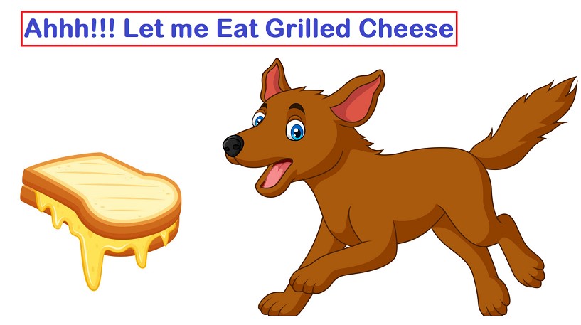 Can Dogs Have Grilled Cheese