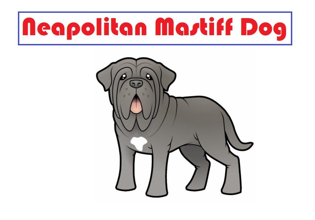 Are Neapolitan mastiffs good for first time owners? 