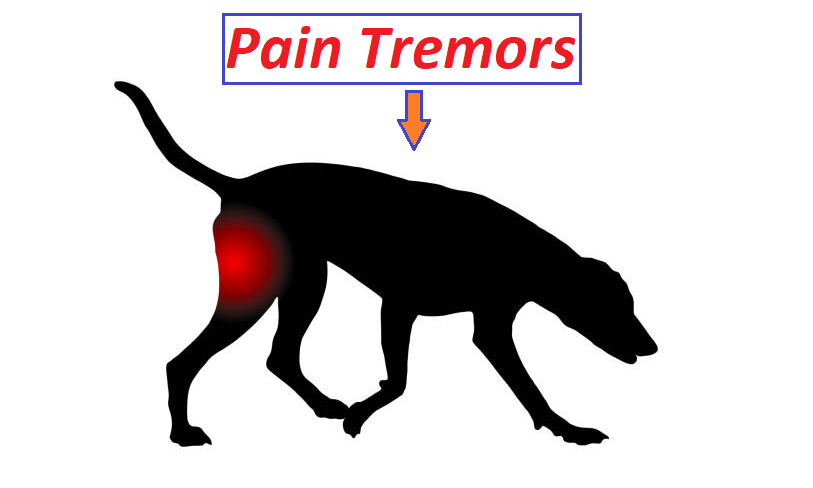 pain tremors in dogs