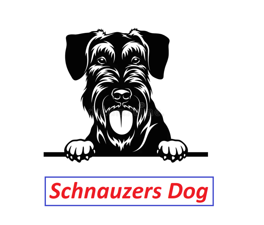 Schnauzers Dog