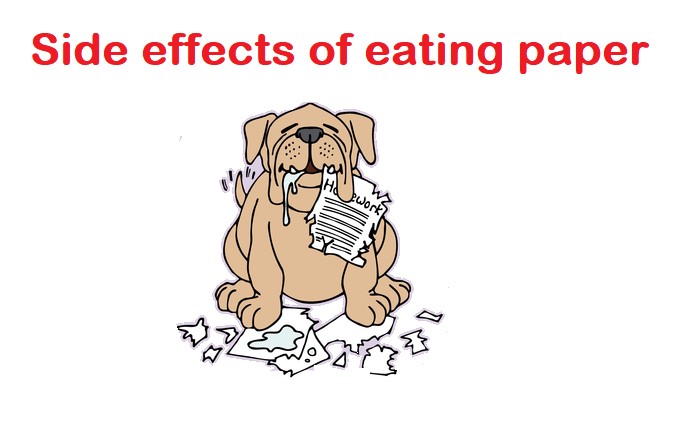 what are the Side effects of eating paper for dogs