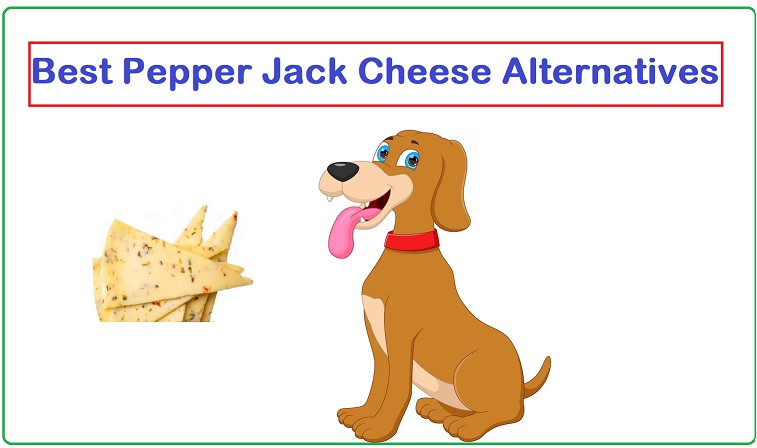 Top 6 Pepper Jack Cheese alternatives