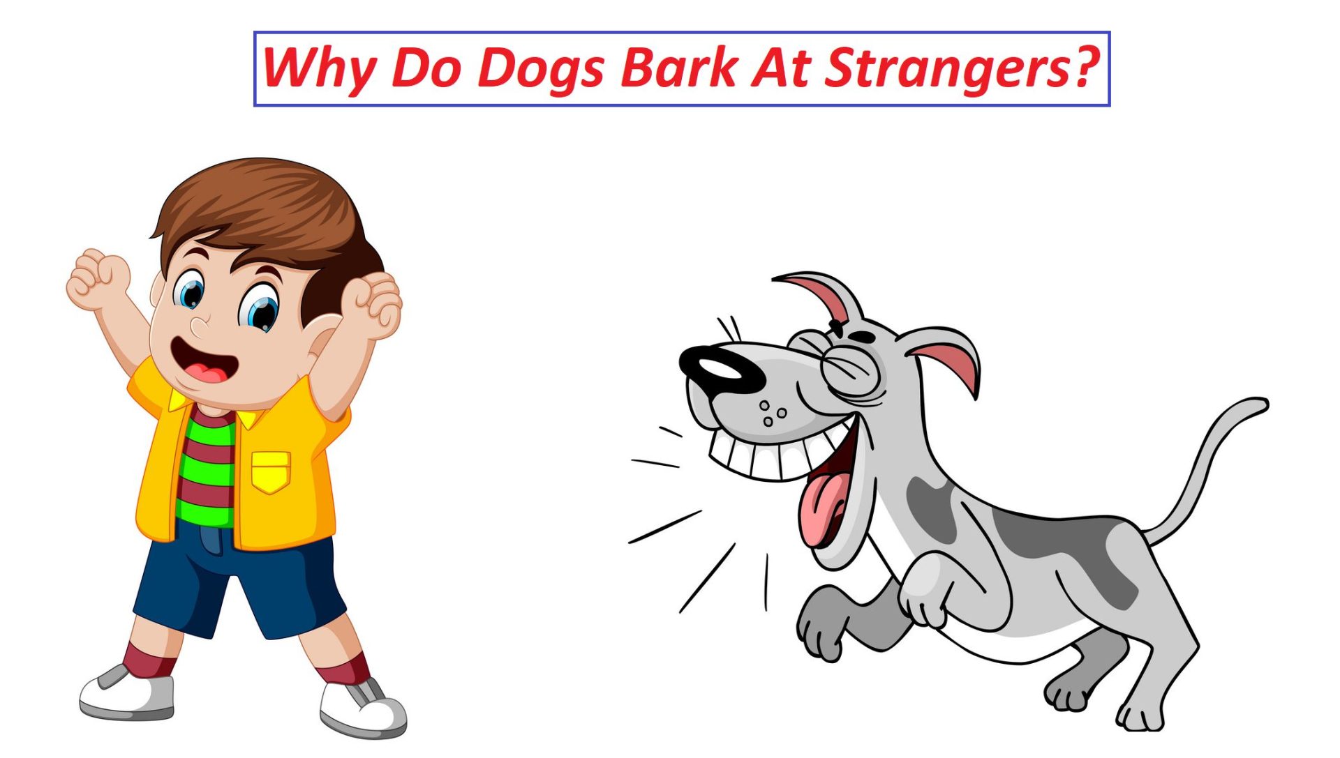 Why Do Dogs Bark At Strangers?