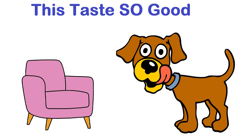 Why Do Dogs Lick the Couch