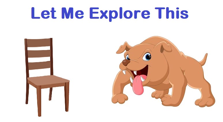 Why Do dogs Lick Furniture