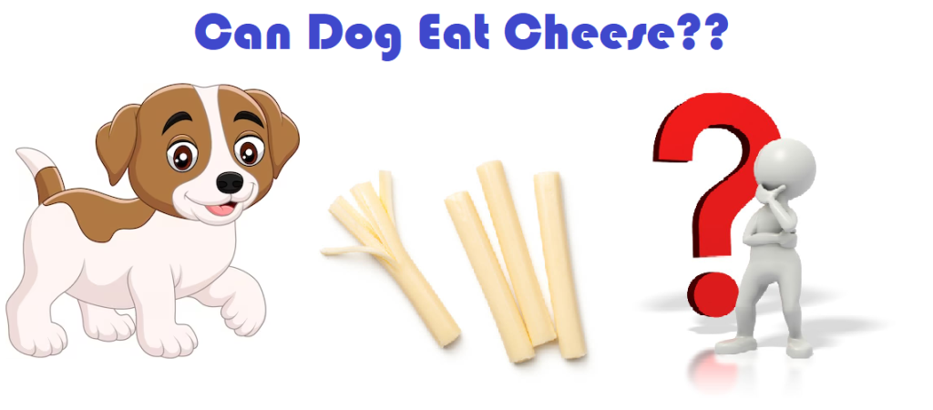 best string cheese for dogs