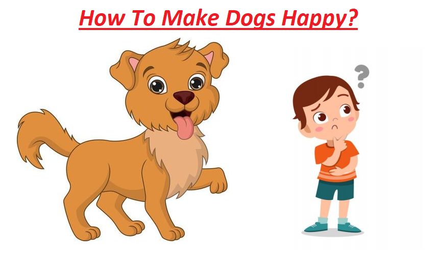 How To Make Dogs Happy