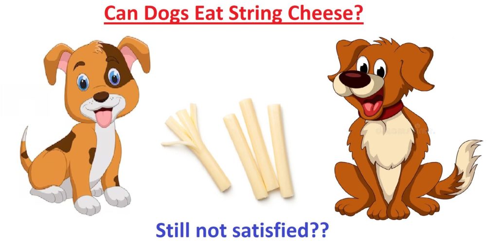  what happens when a dog eats cheese 