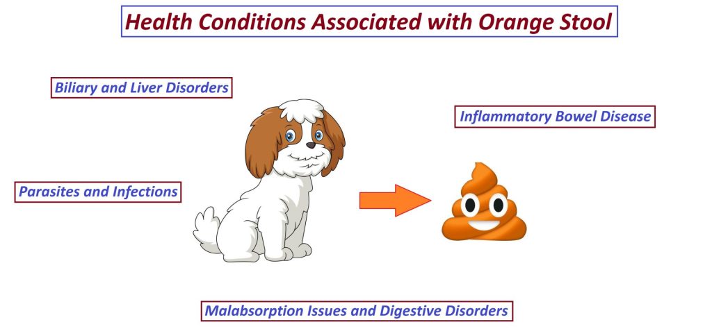 Health Conditions Associated with Orange Stool