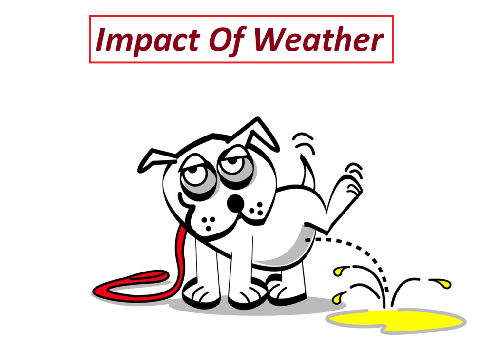 impact of weather