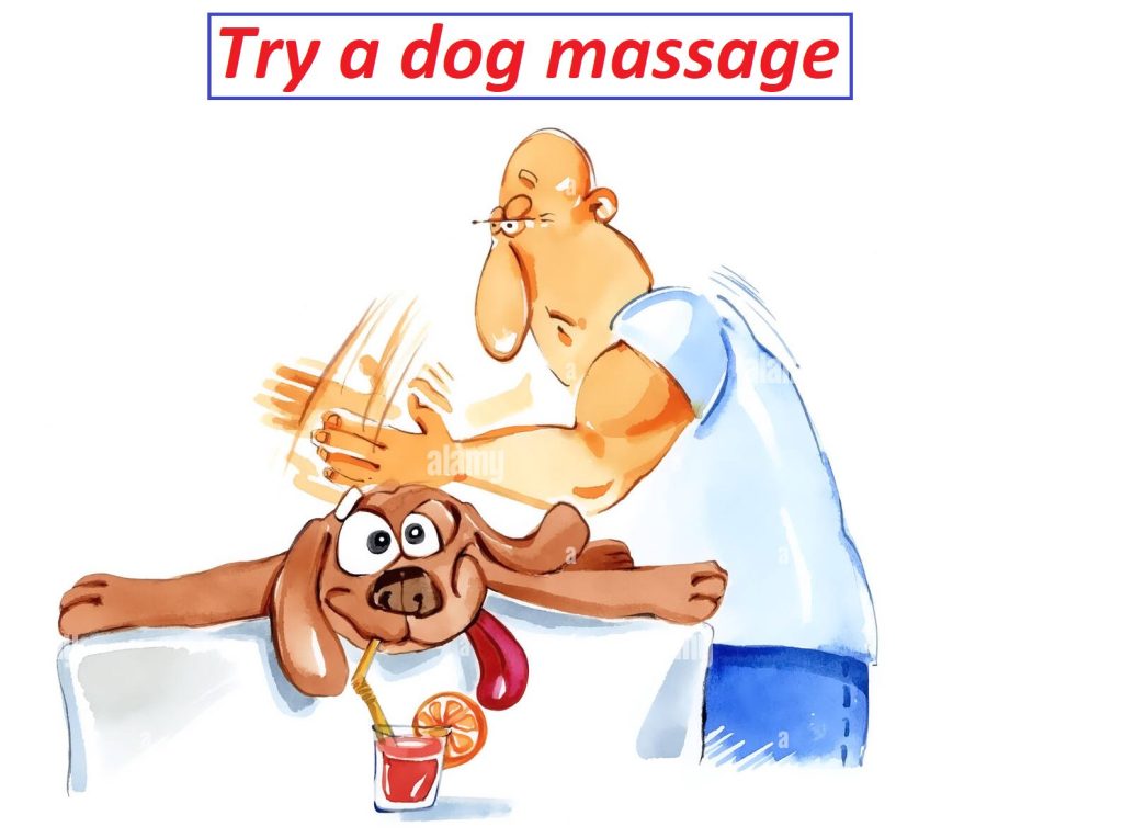 dog massage for anxiety
