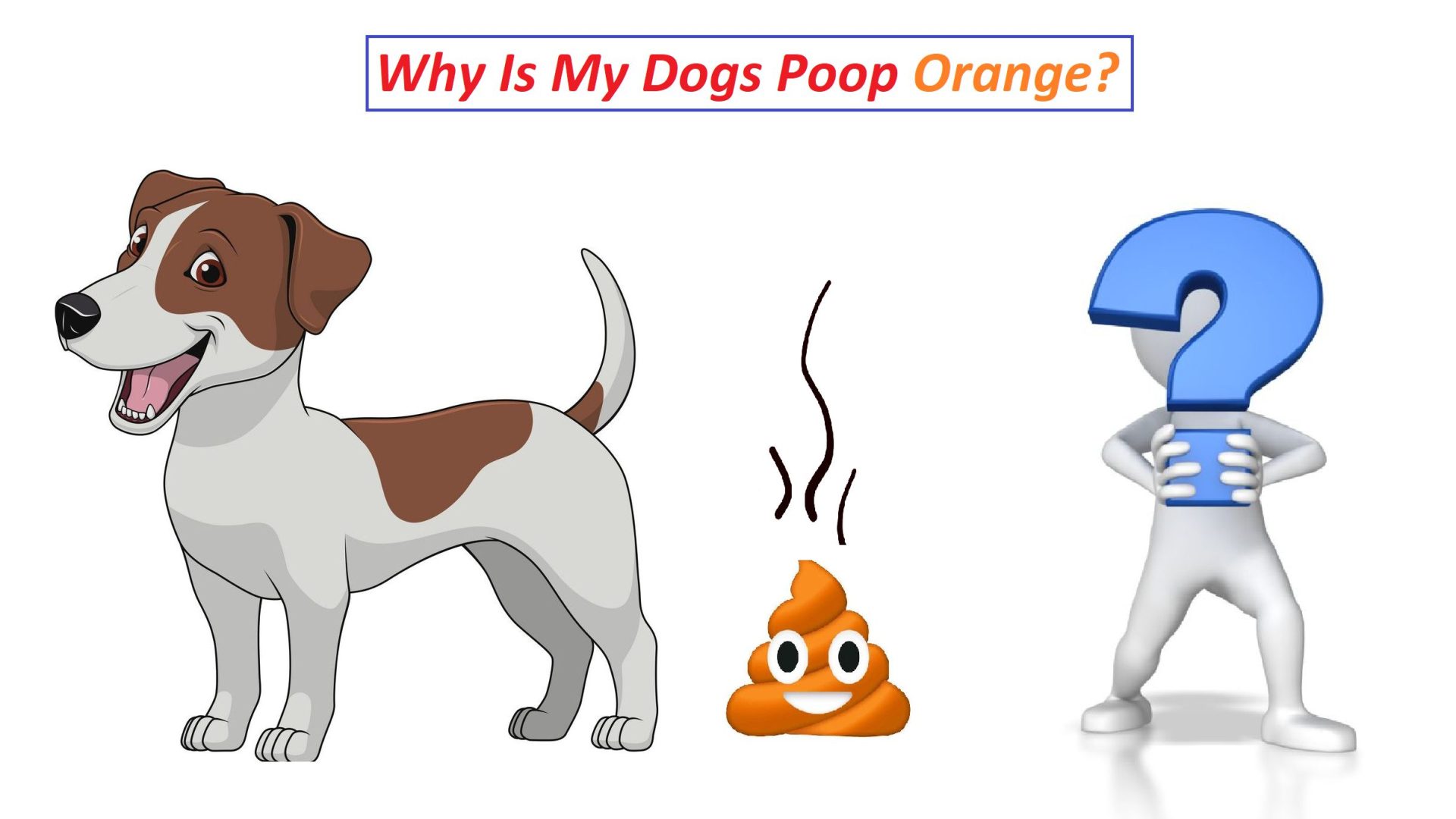 Why Is My Dogs Poop Orange?