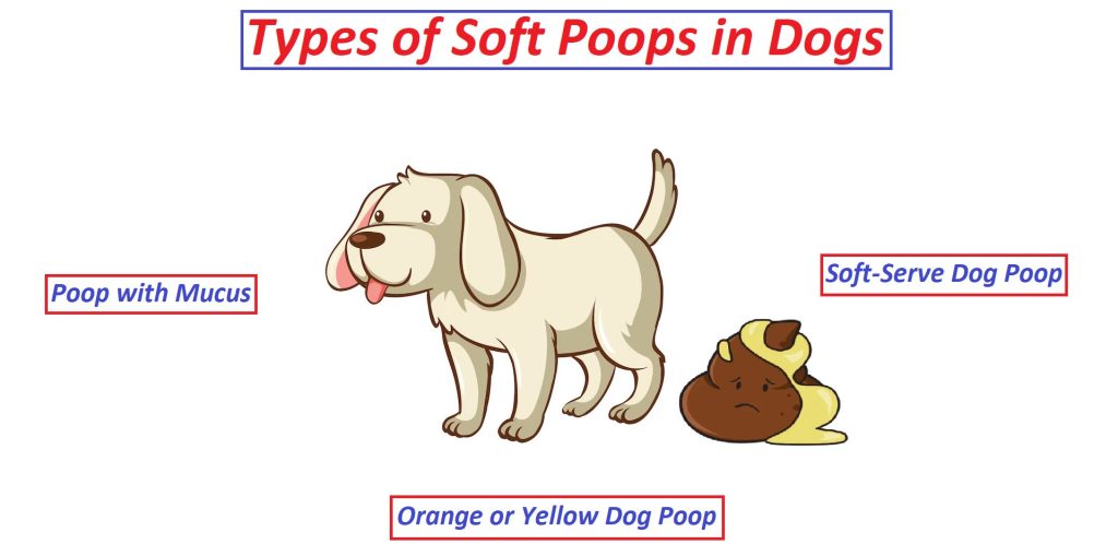 why is my dog's poop soft with mucus