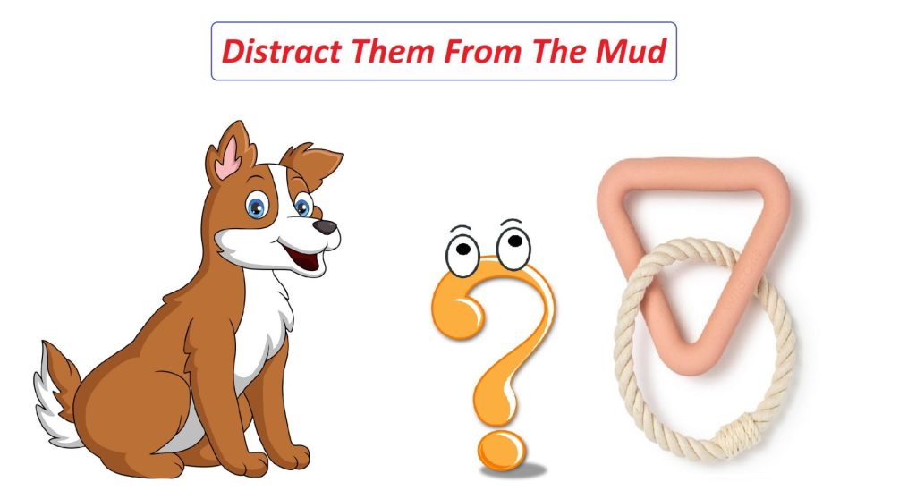 Distract Them From The Mud