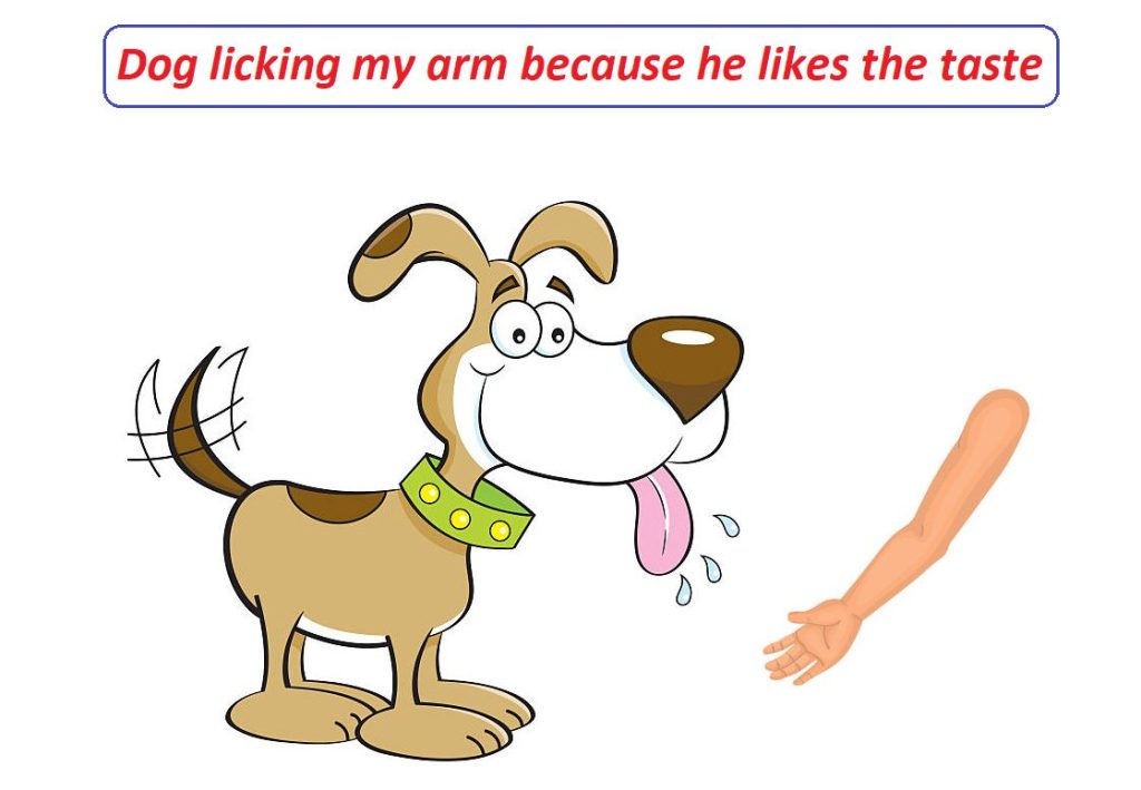 Do dogs lick you because you taste good? 