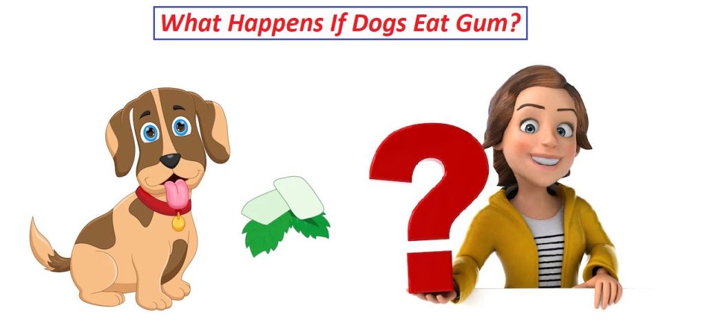 will gum kill dogs