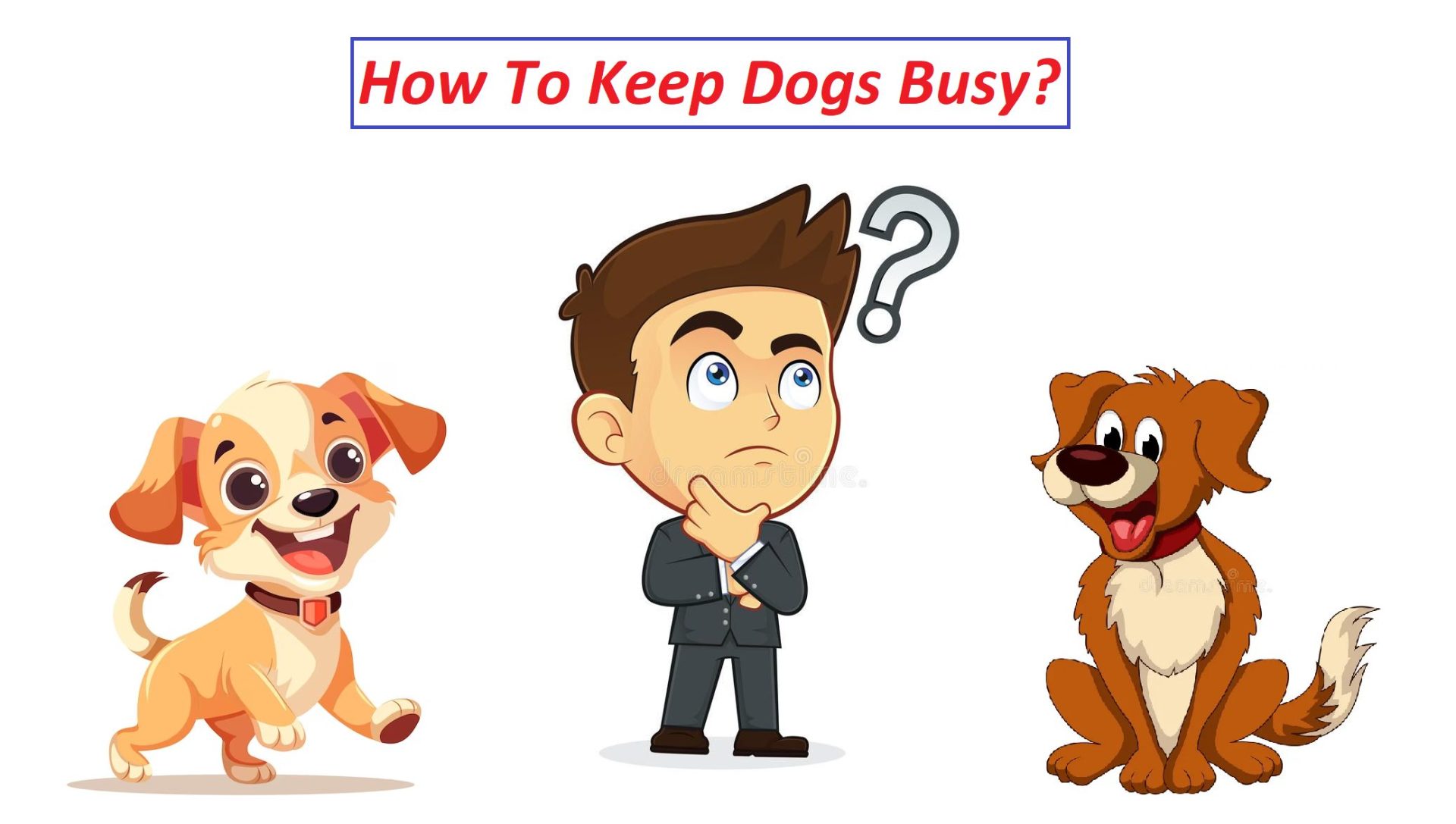 How To Keep Dogs Busy?
