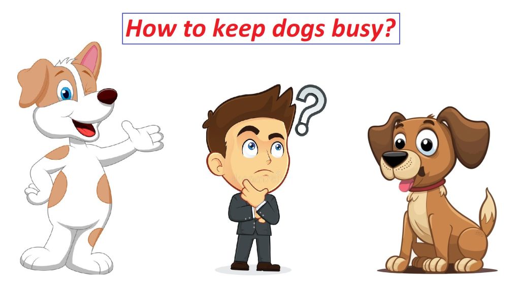 How do I get my dog to have a busy lifestyle? 