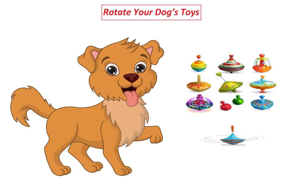  Rotate Your Dog’s Toys