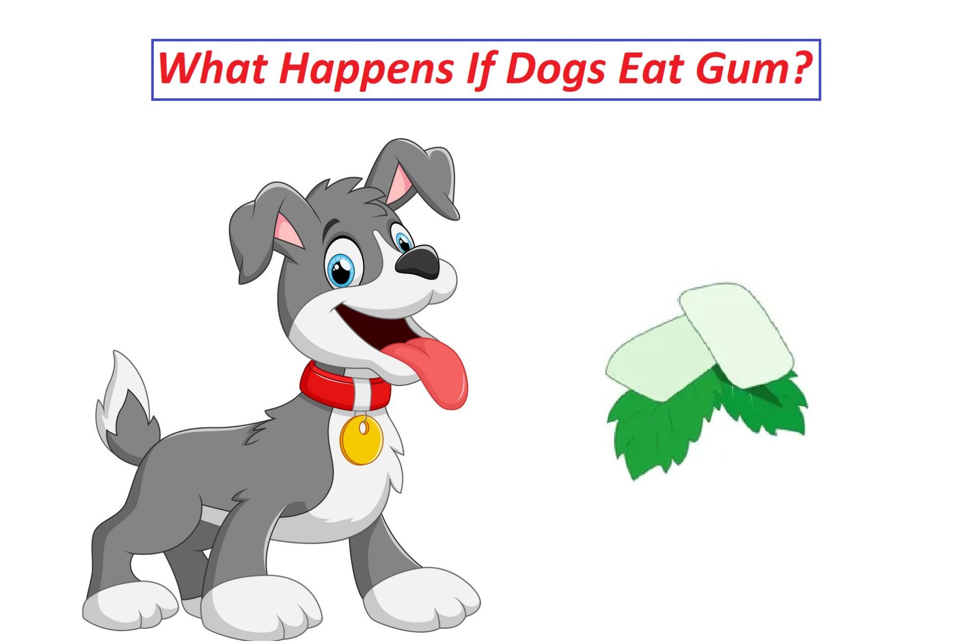 What Happens If Dogs Eat Gum?