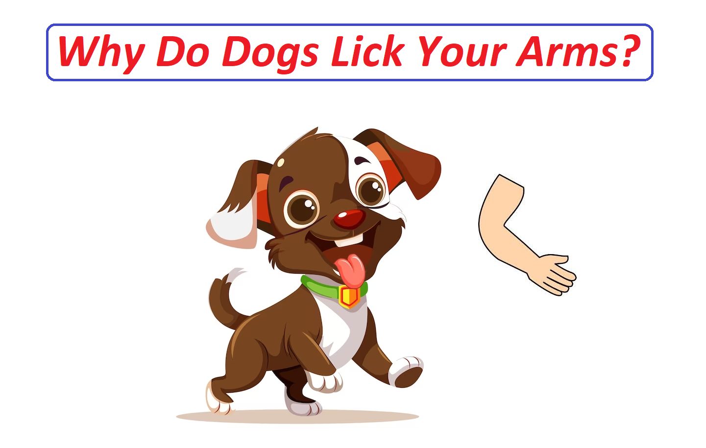 Why Do Dogs Lick Your Arms?