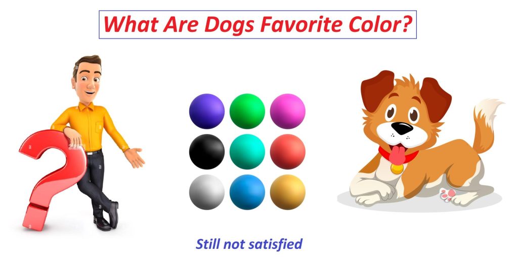 What color is a dog most attracted to? 
