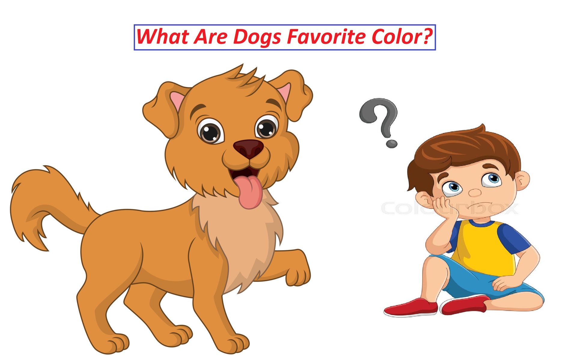 What Are Dogs Favorite Color?