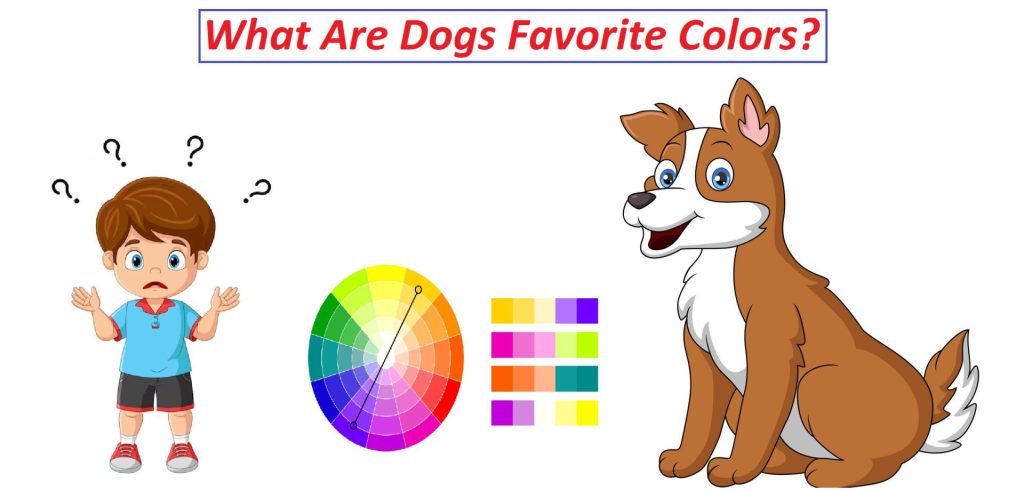 what is a dogs least favorite color