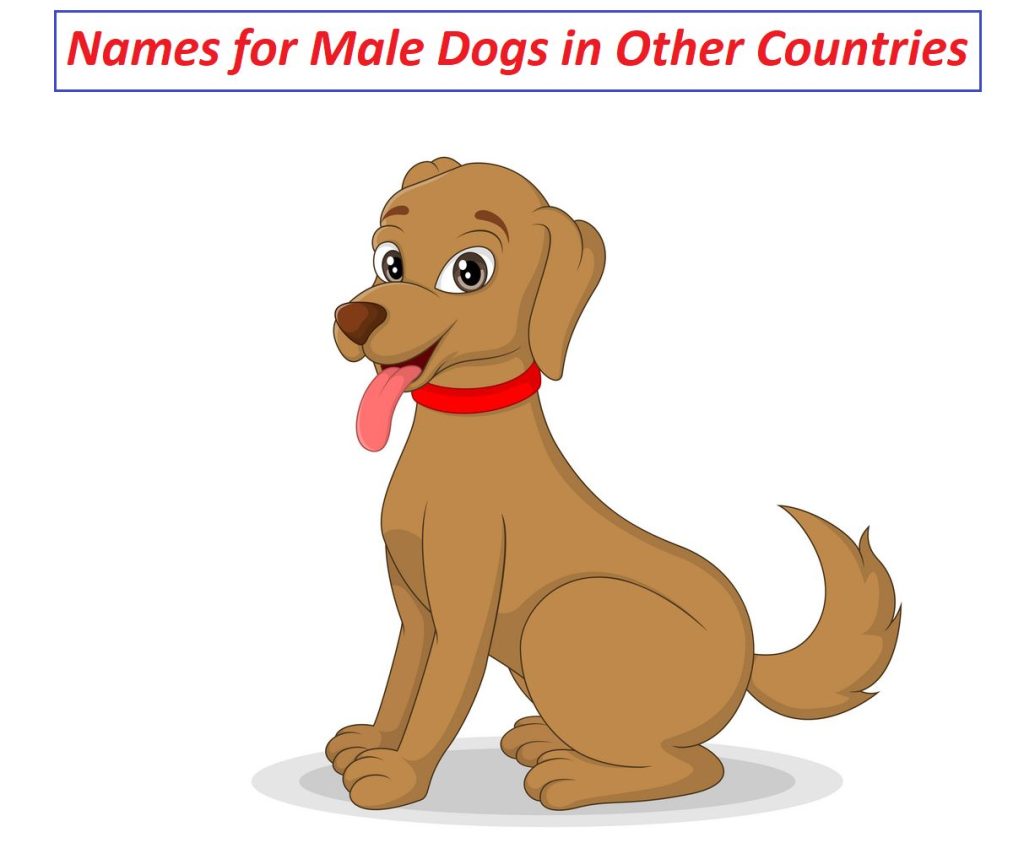Names for Male Dogs in Other Countries