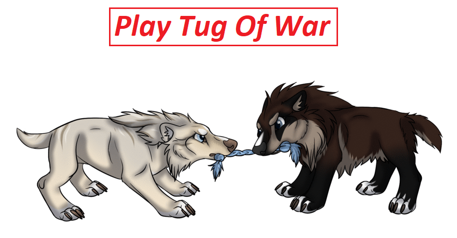 Is it a good idea to play tug-of-war with your dog? 