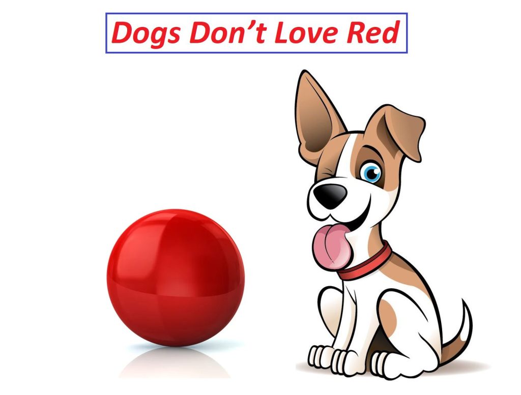 Dogs Don’t Love Red as Much as We Think They Do