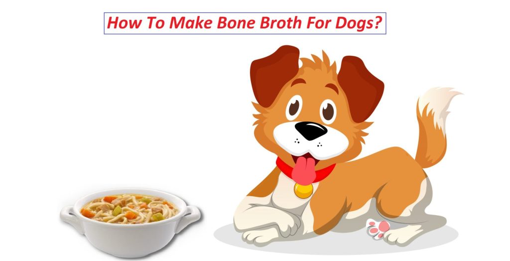 how to make bone broth for dogs in pressure cooker